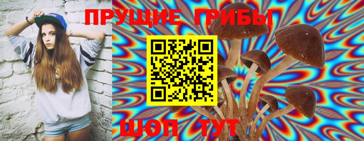 купить наркоту  Псилоцибиновые грибы мухоморы  Вход с VPN  Углич 