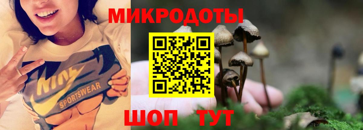 Псилоцибиновые грибы GOLDEN TEACHER Углич